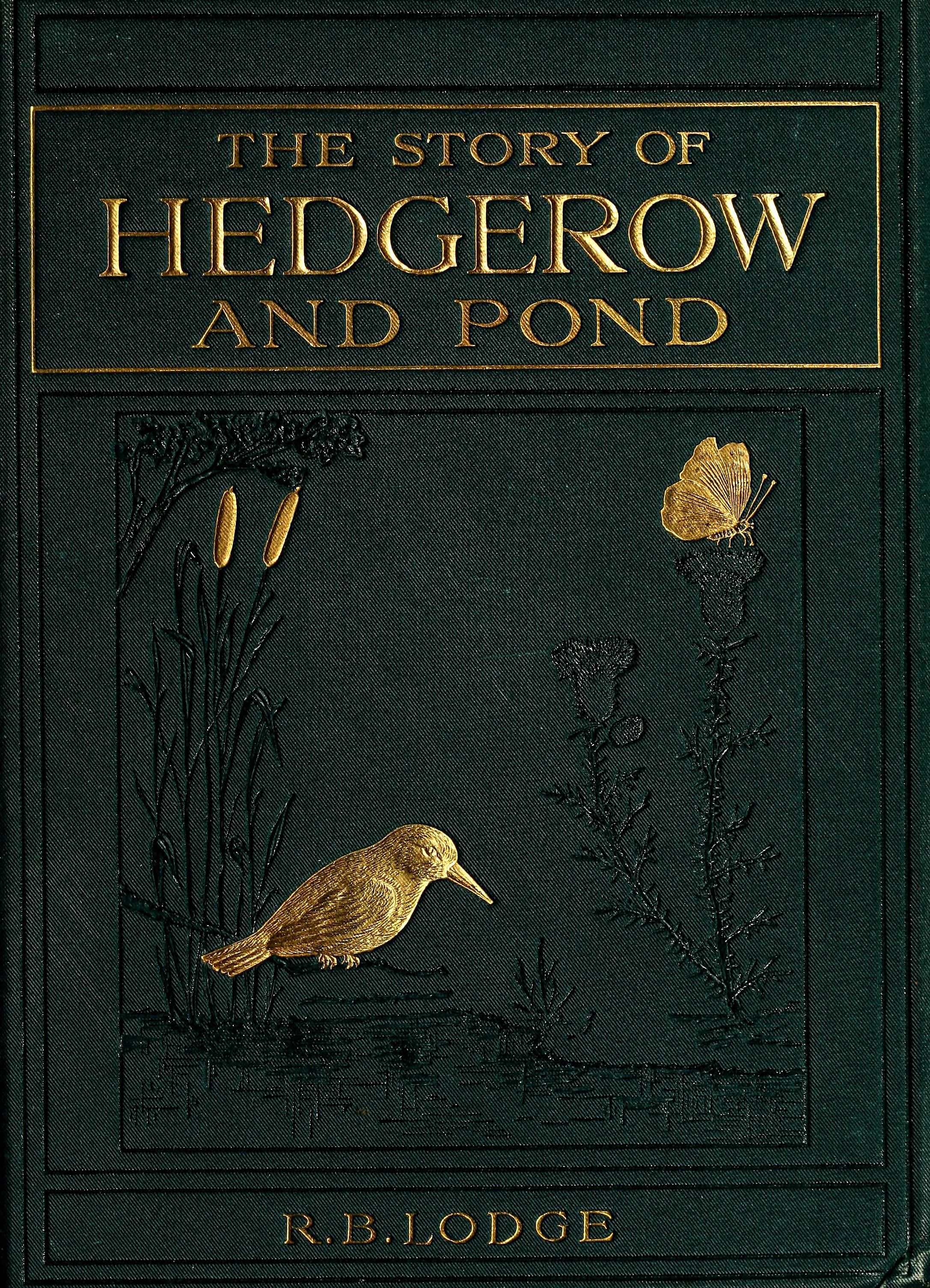 The story of hedgerow and pond [by] R.B. Lodge. Coloured illustrations from ...